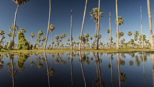 Wildes Argentinien Bild 3