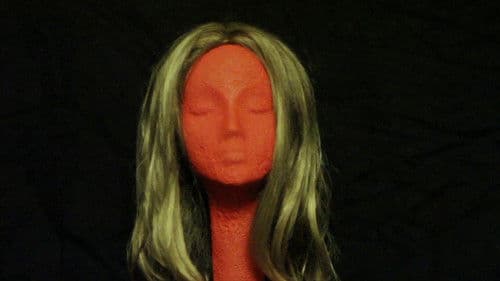 T is for Tranny Bild 1