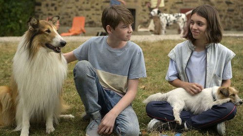 Lassie - Ein neues Abenteuer Bild 8