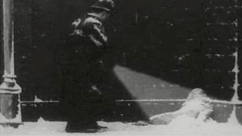 The Little Match Seller Bild 1