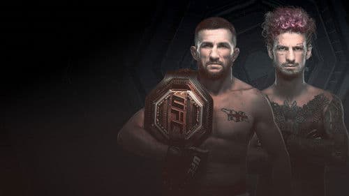 UFC 316: Dvalishvili vs. O'Malley 2 Bild 2