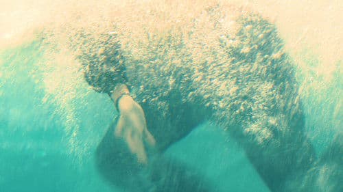 Me quiere, no me quiere Bild 1