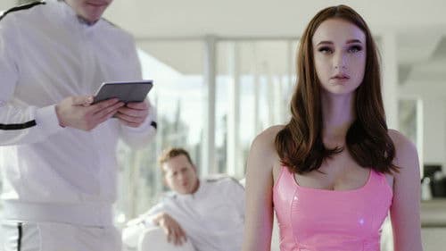 Wir können sie bauen Bild 5