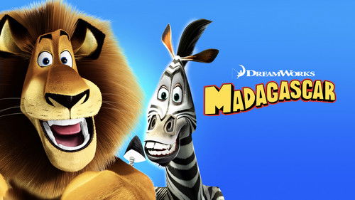 Madagascar Bild 7