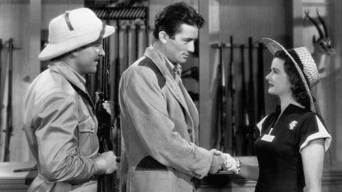 Die Affäre Macomber Bild 4