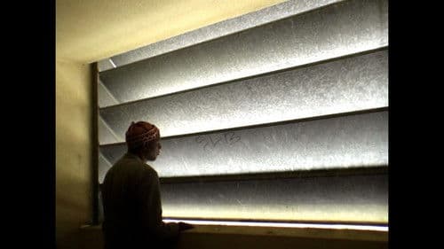 O Nosso Homem Bild 1