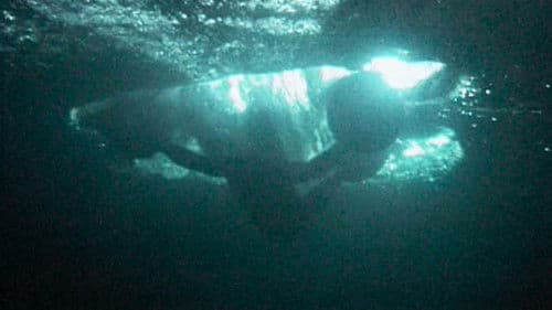 Man With Balls On Hands and Feet - Man on Water Bild 1