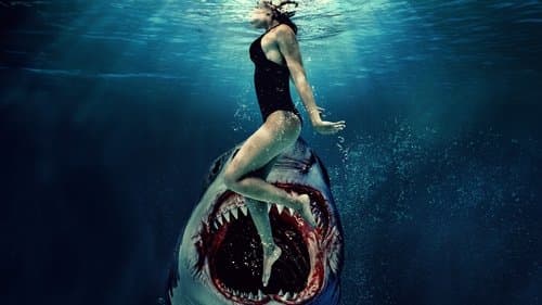 Something in the Water Bild 1