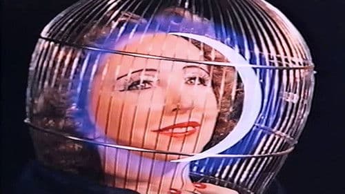 The Inauguration of the Pleasure Dome Bild 3