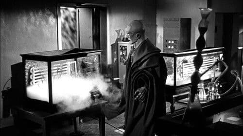 Der Koloss von New York Bild 2