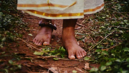 Birah Bhariyo Ghar Aangan Kone Bild 1