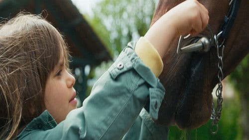 Zoe & Sturm - Mein Traum vom Reiten Bild 3