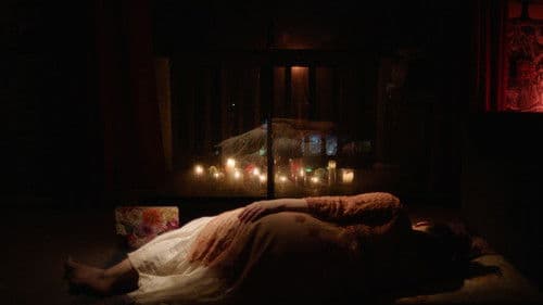 Borrelia Borealis Bild 4