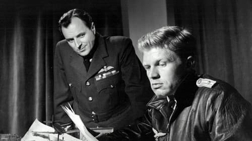 Einer kam durch Bild 1