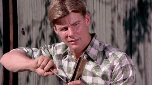 Vigilante Force - Das Gesetz sind wir Bild 3