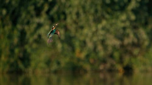 Flussgiganten Bild 3