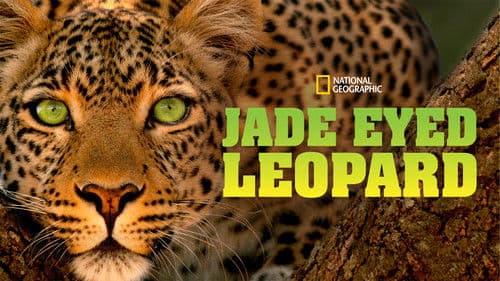 Der Leopard mit den Jade-Augen Bild 7