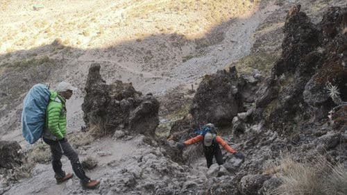 Kilimandscharo - diesmal mit Krücken Bild 8