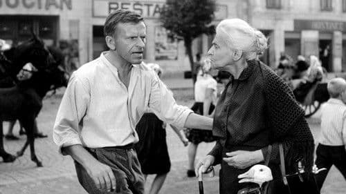 Der Laden auf dem Korso Bild 2