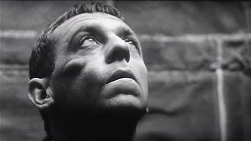 Everynight... Everynight Bild 2