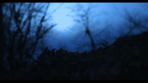 Blood Is Thicker Than Water Bild 5