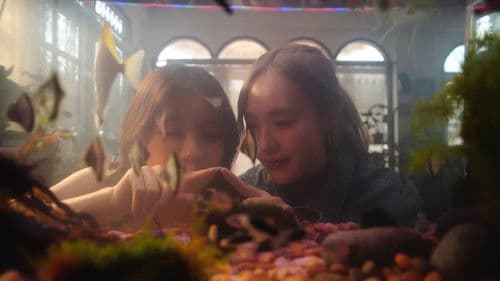 ให้รักกังวานในใจ Bild 1