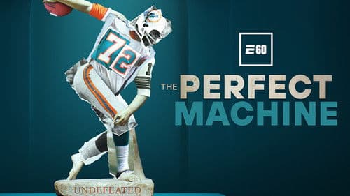 The Perfect Machine Bild 3