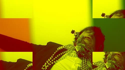 Sono sfiorite le rose Bild 1