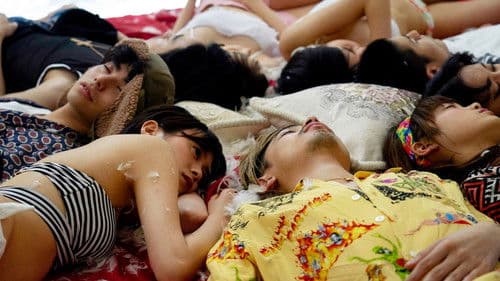 チワワちゃん Bild 4