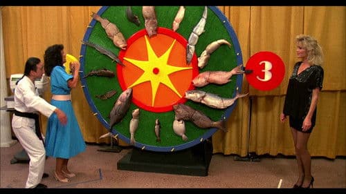 UHF - Sender mit beschränkter Hoffnung Bild 5