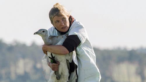 Die Odyssee der Großtrappen - Das Comeback der Riesenvögel Bild 1