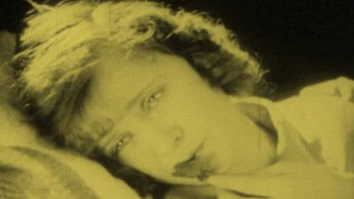 The White Rose Bild 3