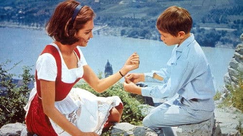 An der Donau, wenn der Wein blüht Bild 2