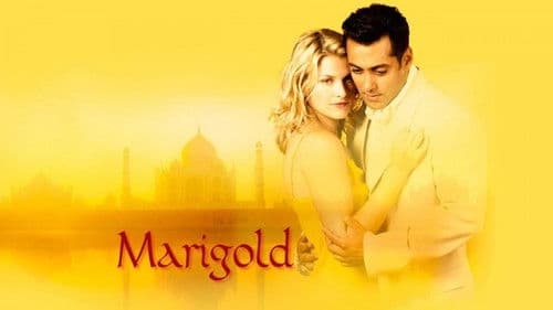 Marigold Bild 3