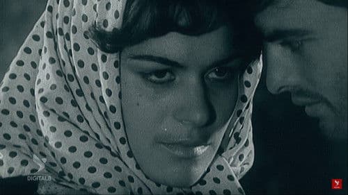 Dasma e shtyrë Bild 1