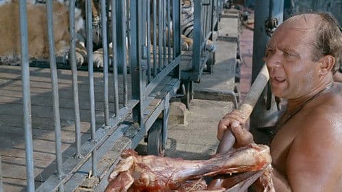 Rette sich wer kann! Bild 7