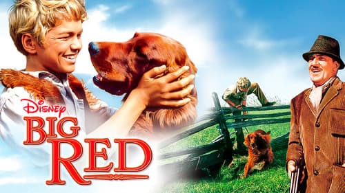 Mein Freund Red Bild 3