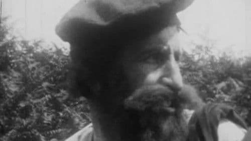 Fickle Fortune Bild 1