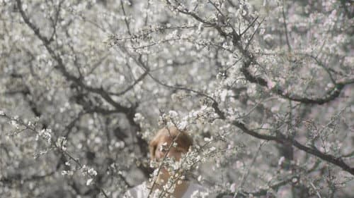 Volver a la luz Bild 1