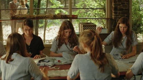 Little Black Spiders Bild 3