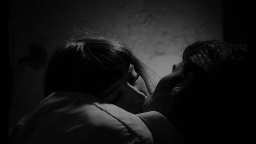 Die Vergewaltigung des Vampirs Bild 8