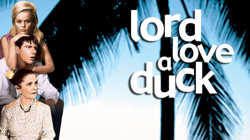 Mollymauk, der Wunderknabe Bild 2