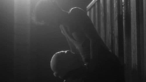 The Better World Bild 6