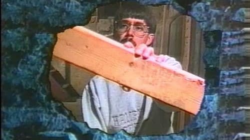 Night Crawlers Bild 2