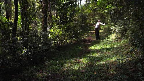 Cidade Natureza Bild 1