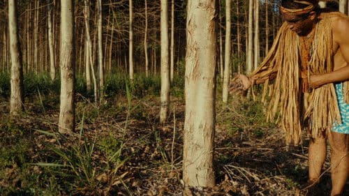 Retten Bäume den Planeten Bild 4