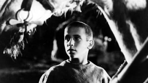 Crónica de un niño solo Bild 2