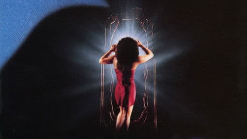 Devil Dance - Im Spiegelbild des Teufels Bild 3