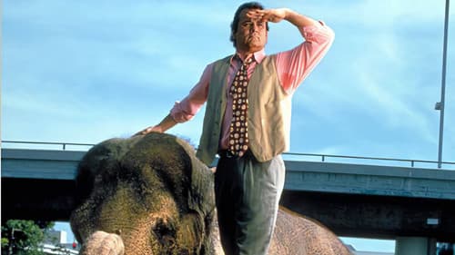 Die dicke Vera Bild 6