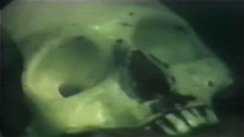 Night of Horror Bild 1